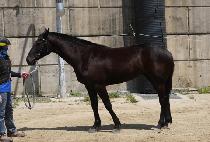 �������� (JUNGJEON MAMA) ����