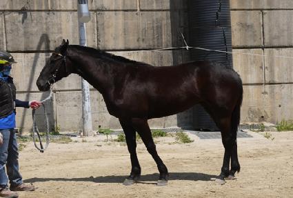 �������� ����