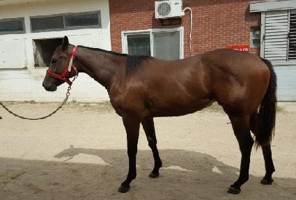 Ǯ���� ����