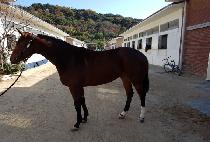 ������ο� (GOLDUI INYEON) ����