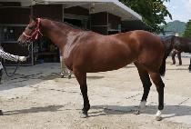 �ÿ��� (NEUL YESOL) ����