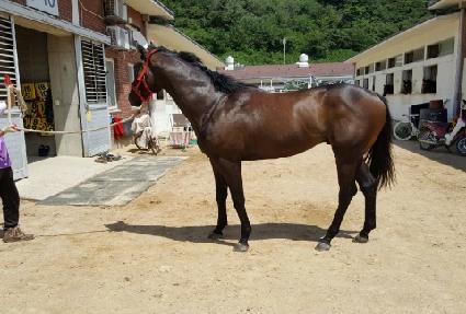 �ź��ѹٶ� ����