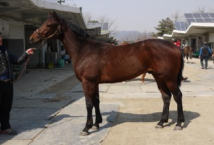 ������̴� ����