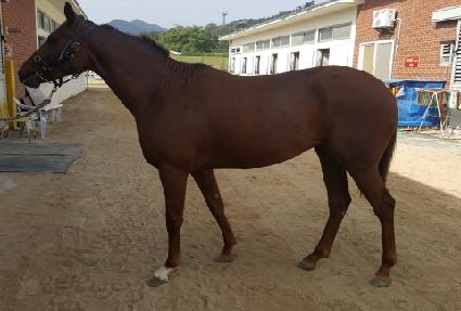 ���Ǹ��� ����