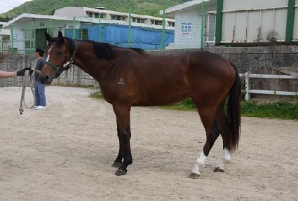 �۾ϵ�ǳ ����