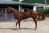 ���ߵ帲 (GWANGYA DREAM) ����