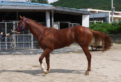 ���ߵ帲 ����