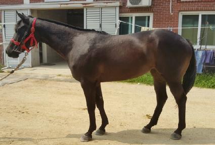 �̷��� ����