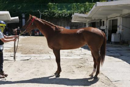 ���ΰ��� ����