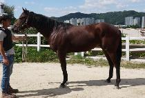 �����̵帲 (OH MY DREAM) ����