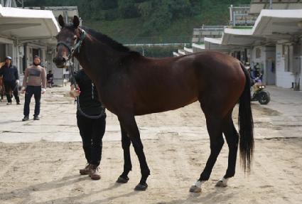 ����� ����