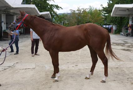 �����꿡�̽� ����