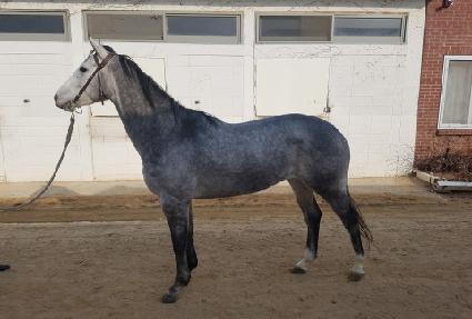 �̶�Ŭ���� ����