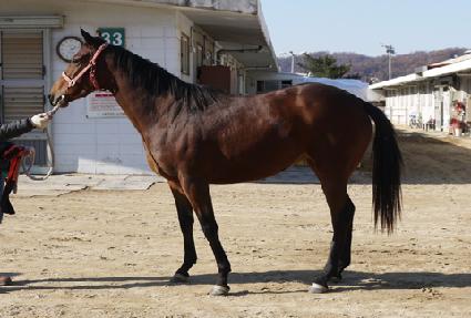 ���������̵� ����