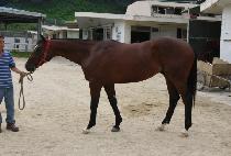 Ŭ����Ư�� (CLEAN UP TEUKGEUP) ����