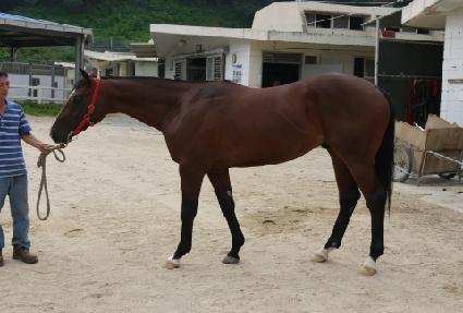 Ŭ����Ư�� ����