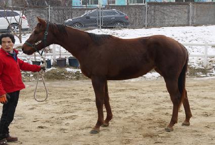 �н�Ʈ���� ����