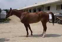 õ������ (CHEONJI BOBAE) ����