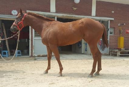 ������ ����