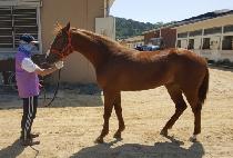 ����Ǯ�޸� (WONDERFUL MEMORY) ����