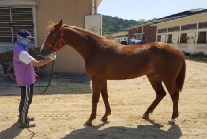 ����Ǯ�޸� ����