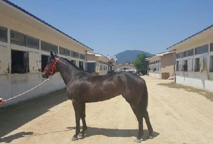 ����Ʈ�޸� ����