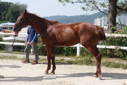 �޷����� ����