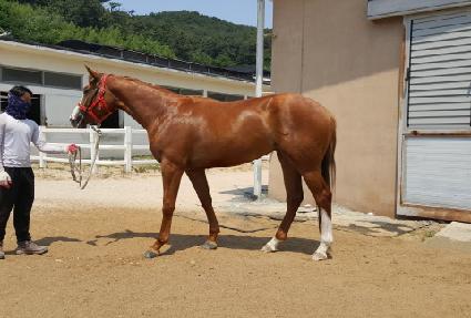 ������ ����