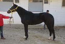 �� (HIN BYEOL) ����