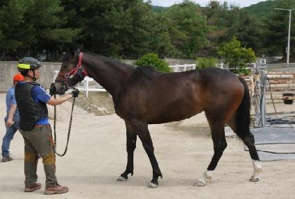 ��Ÿ����Ʈ ����