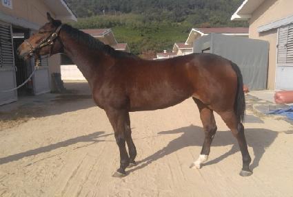 ���ǽ��� ����