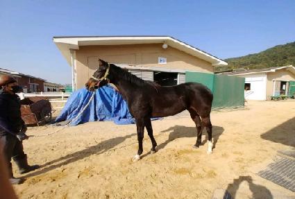 �����Ǽ� ����