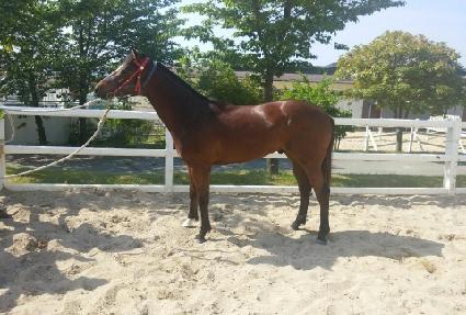 ��õ��Ÿ ����