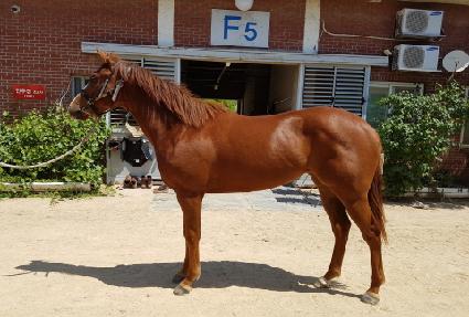 ����Ʈ������ ����