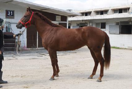 ��ç���� ����