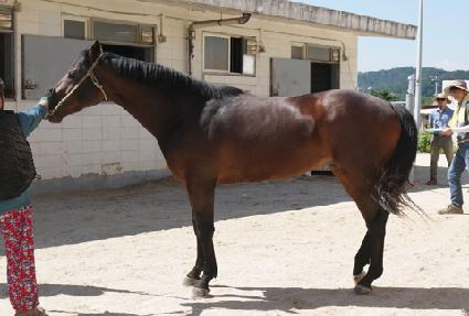 ������ ����