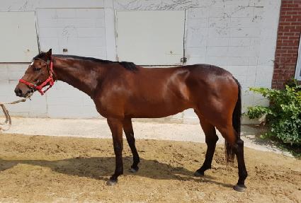 �뺧�� ����