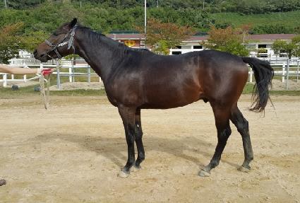 �������׶� ����