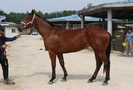 ��¿�Ƽ���� ����