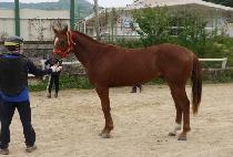 ����ó�� (NATURE UP) ����