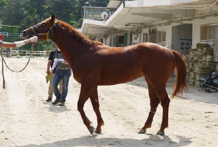 ������õ ����