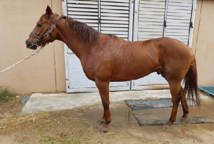 �̱�� ����