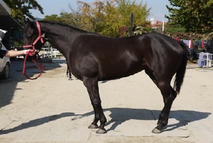 ����Ʈä�� ����