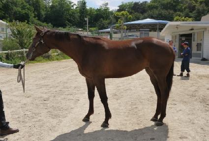 Ŭ���ö�� ����