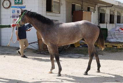 ��ȭ�Ѱ� ����