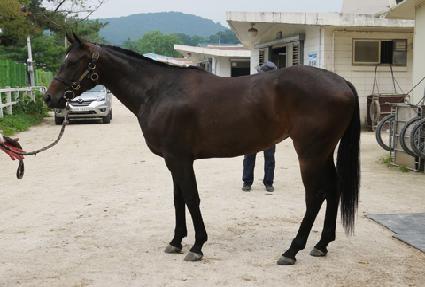 ����� ����