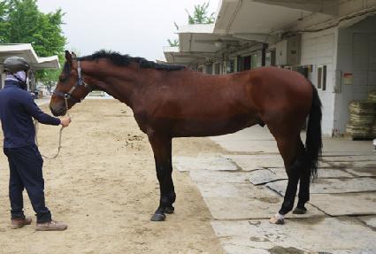 ���ǽ����� ����