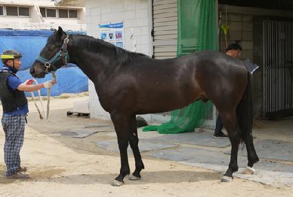 ���̹� ����