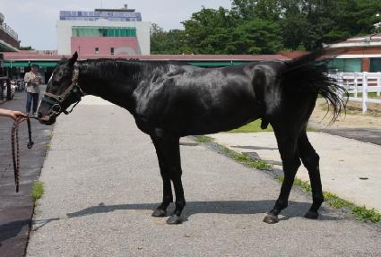 ���� ����