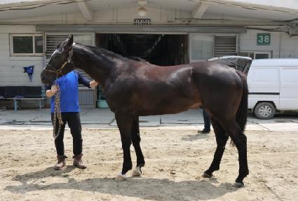 �ȵ���� ����